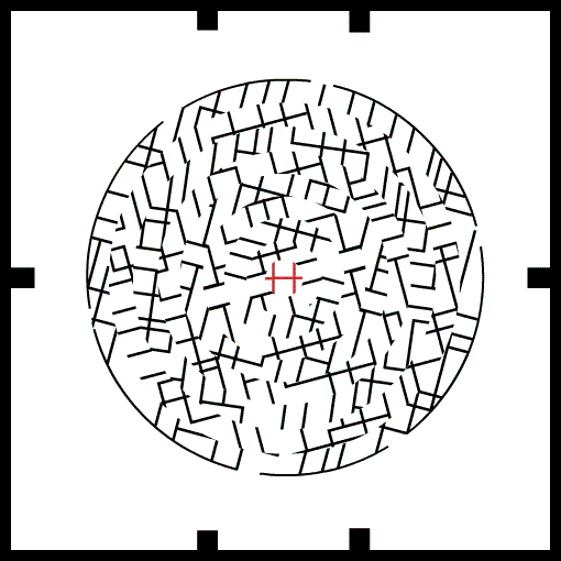 H Maze