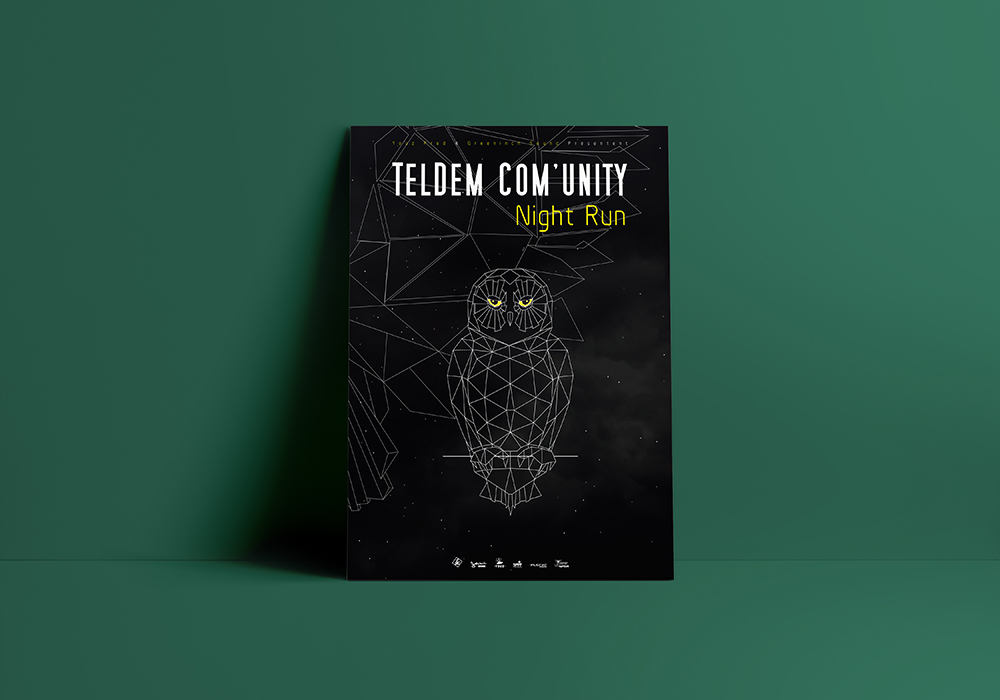 TELDEM COM'UNITY Night Run
